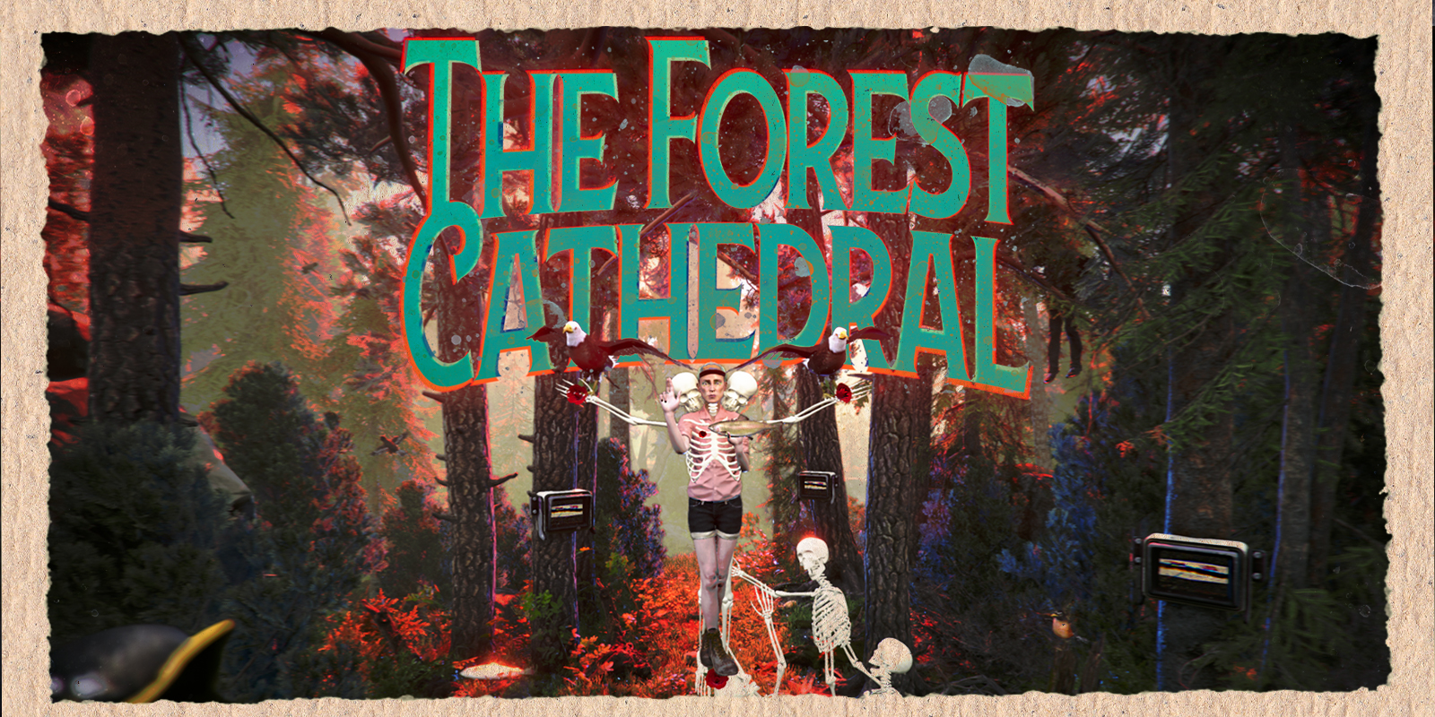 The Forest Cathedral