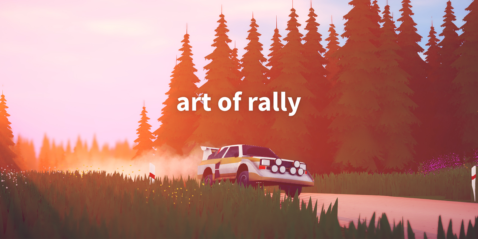 art of rally